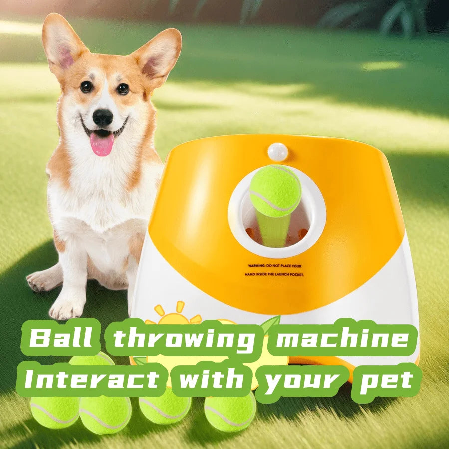 Lançador Automático de Bolinha para Cães USB