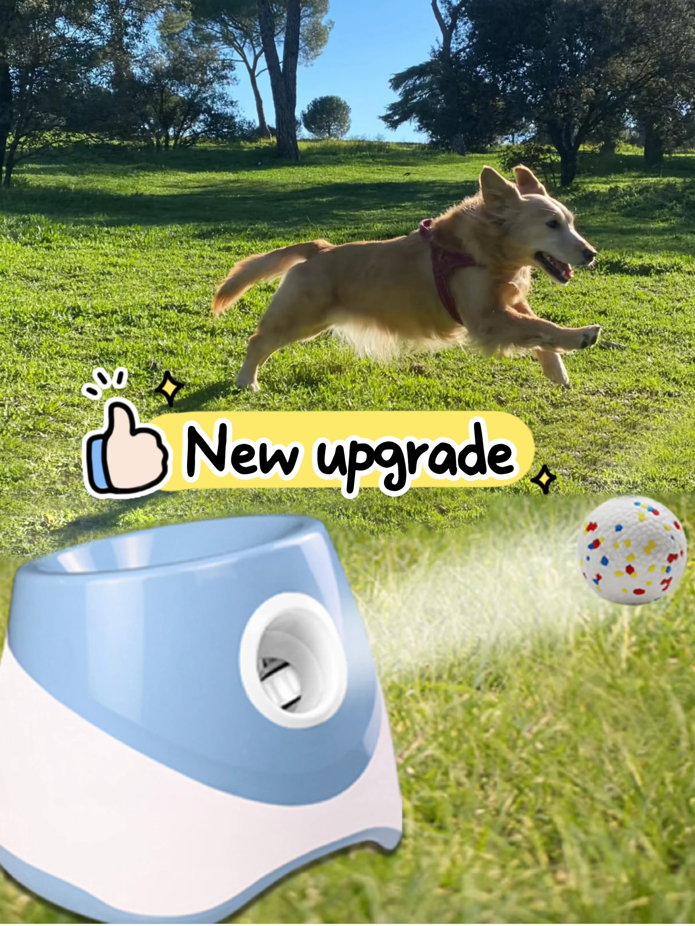 Lançador Automático de Bolinha para Cães USB
